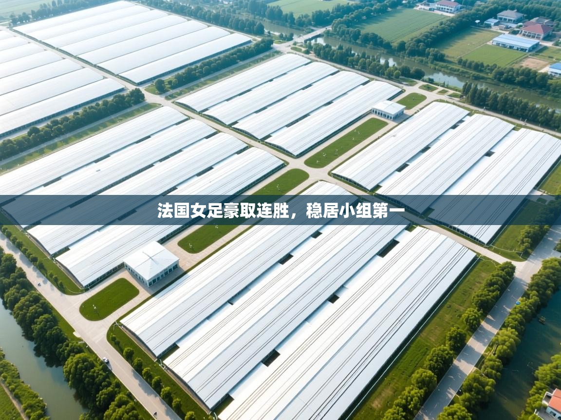 开云体育注册app-法国女足豪取连胜,稳居小组第一 第1张