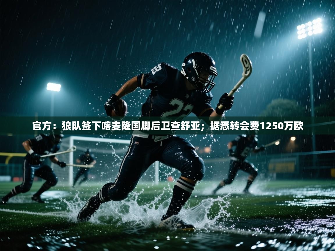 开云体育苹果版下载-官方：狼队签下喀麦隆国脚后卫查舒亚；据悉转会费1250万欧  第1张