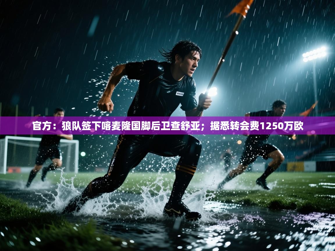 开云体育苹果版下载-官方：狼队签下喀麦隆国脚后卫查舒亚；据悉转会费1250万欧  第2张