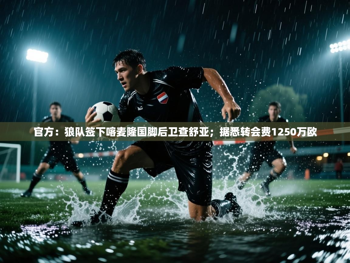 开云体育苹果版下载-官方：狼队签下喀麦隆国脚后卫查舒亚；据悉转会费1250万欧  第4张