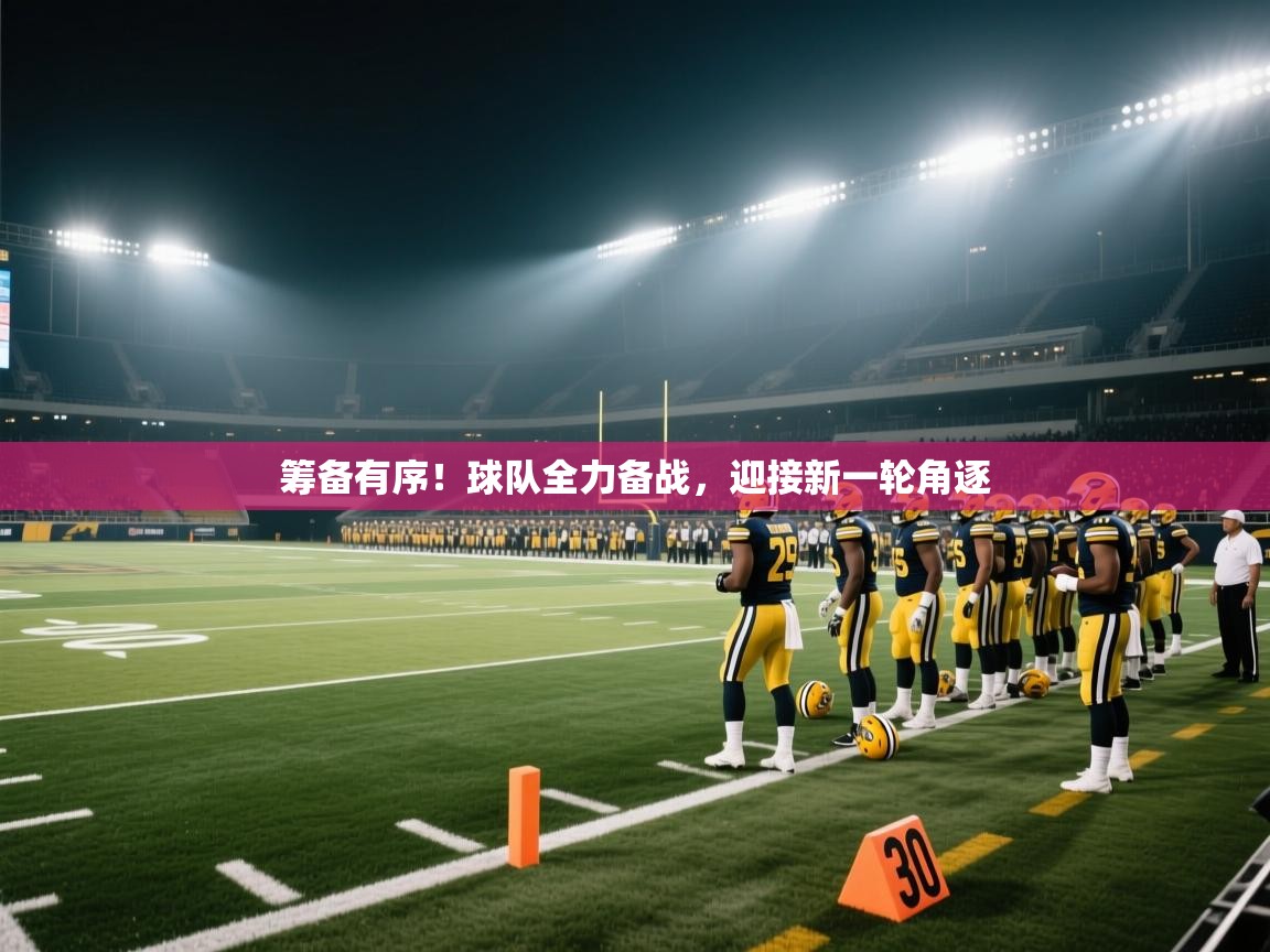 开云体育安卓APK下载-筹备有序！球队全力备战，迎接新一轮角逐  第4张